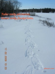 2351_127956260014_5222_n