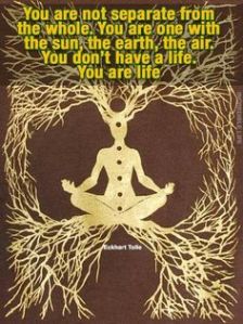 27bf608730d1346b6b299c9d717387c3