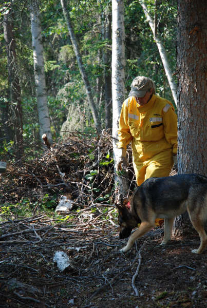 1923990_79681135014_7828_n